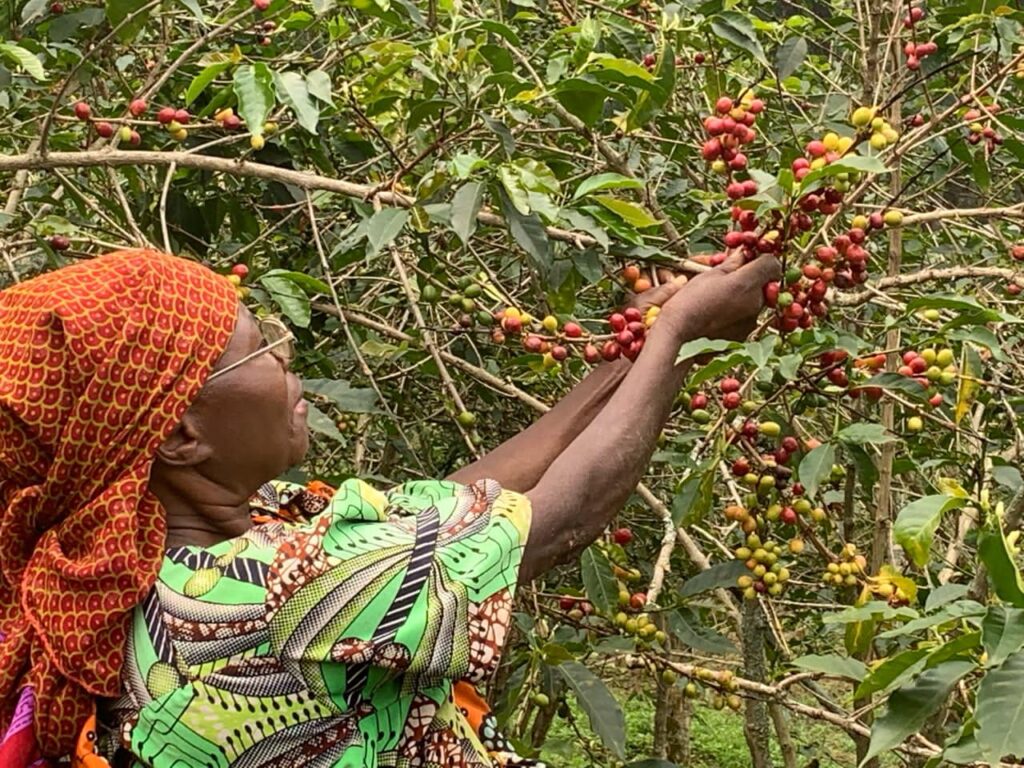 Portrait of Smiling Bus Driver