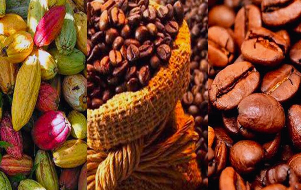 Portrait of Smiling Bus Driver