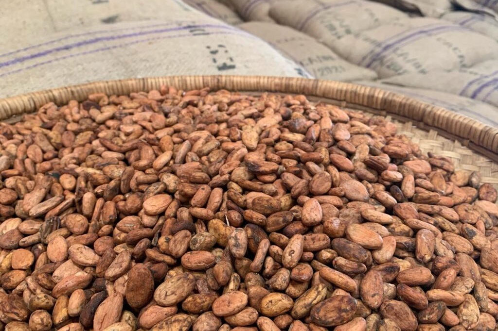 Portrait of Smiling Bus Driver