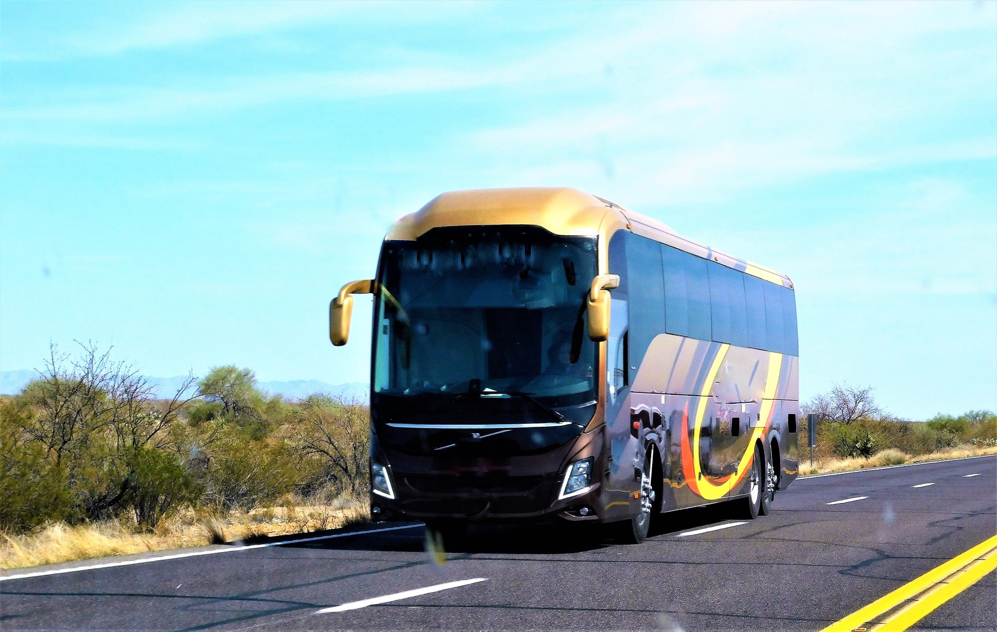 Portrait of Smiling Bus Driver